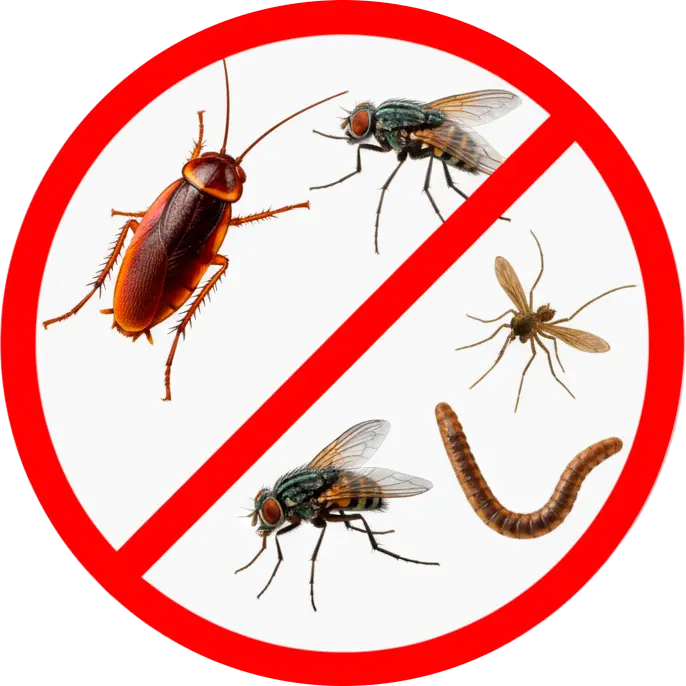Control de Insectos